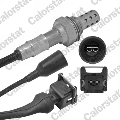 Oxygen Sensor